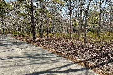 Land/Parcel For Sale in Edgartown #43265