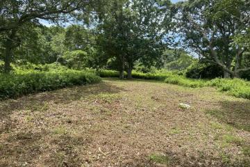 Land/Parcel For Sale in Aquinnah #43174