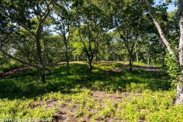 Land/Parcel For Sale in Chilmark #43390
