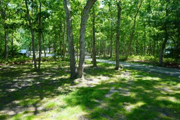 Land/Parcel For Sale in Oak Bluffs #43506