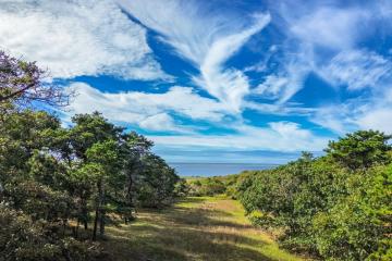 Land/Parcel For Sale in Edgartown #43542