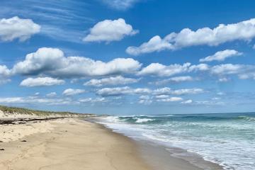 Land/Parcel For Sale in Chilmark #43837