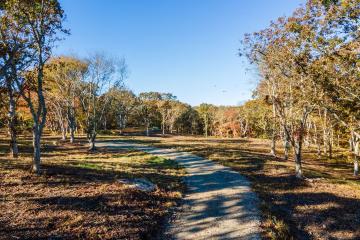 Land/Parcel For Sale in Chilmark #43935