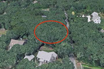 Land/Parcel For Sale in Edgartown #43962