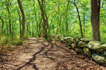 Land/Parcel For Sale in Chilmark #44325