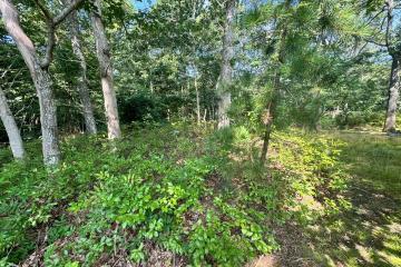 Land/Parcel For Sale in Oak Bluffs #44502