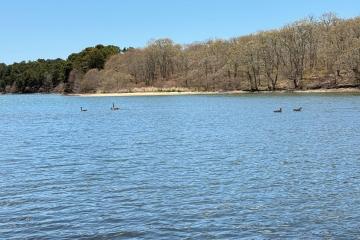 Single Family Home For Sale in Edgartown #44454