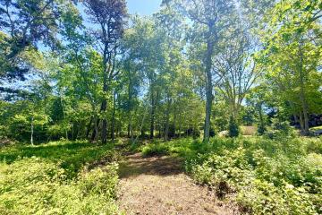 Land/Parcel For Sale in Vineyard Haven #44535