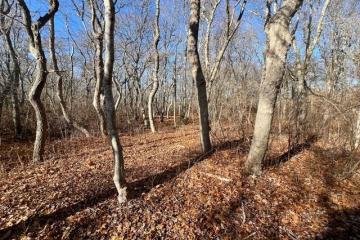Single Family Home For Sale in Aquinnah #44739