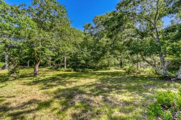 Land/Parcel For Sale in West Tisbury #44672