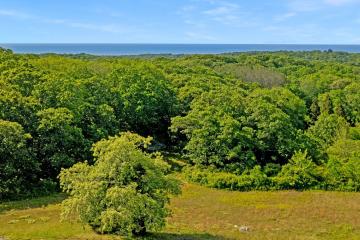Land/Parcel For Sale in Chilmark #44873