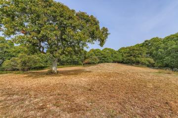 Land/Parcel For Sale in Chilmark #44829
