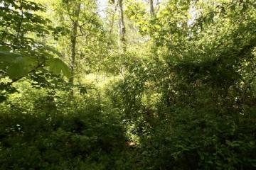 Land/Parcel For Sale in Vineyard Haven #44867